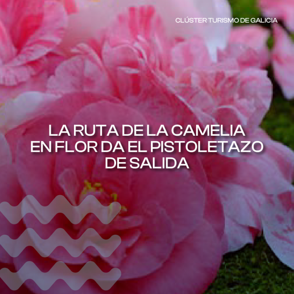 [:es]La Ruta de la Camelia en Flor da el pistoletazo de salida a los Trenes Turísticos de Galicia 2025 con aforo completo.A Ruta da Camelia en Flor dá o pistoletazo de saída aos Trens Turísticos de Galicia 2025 con aforo completo.The Camellia in Bloom Route kicks off the 2025 Galicia Tourist Trains season at full capacity.