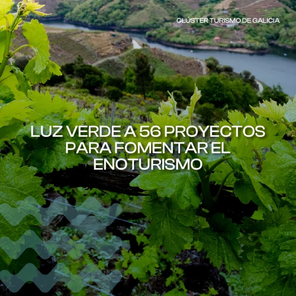 [:es]Luz verde a 56 proyectos que fomentarán el turismo enogastronómico gallegoLuz verde a 56 proxectos que impulsarán o turismo enoturístico de GaliciaGreen light for 56 projects that will promote Galician food and wine tourism