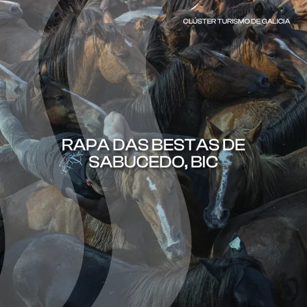 [:es]La Rapa das Bestas de Sabucedo, declarada Bien de Interés CulturalA Rapa das Bestas de Sabucedo, declarada Ben de Interese CulturalThe Rapa das Bestas de Sabucedo, declared a Site of Cultural Interest