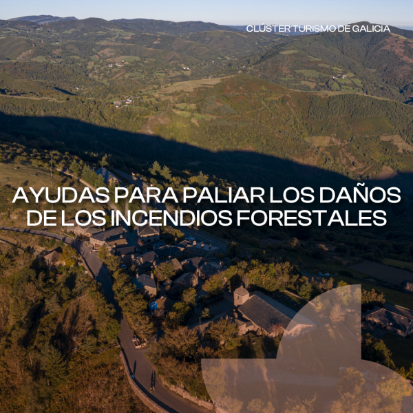 [:es]El Igape abre una línea de ayudas para negocios afectados por los incendios forestalesO Igape abre unha liña de axudas para negocios afectados polos incendios forestaisIgape launches a line of aid for businesses affected by forest fires