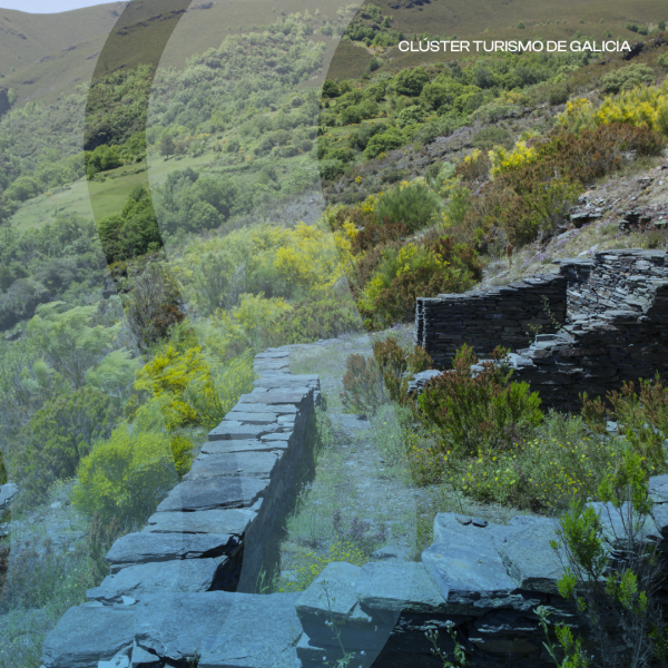 [:es]La Xunta destina más de 3,6 millones a impulsar el turismo tras los incendios de este veranoA Xunta destina máis de 3,6 millóns a impulsar o turismo tralos incendios deste veránThe Xunta allocates more than 3.6 million euros to boost tourism after this summer's wildfires