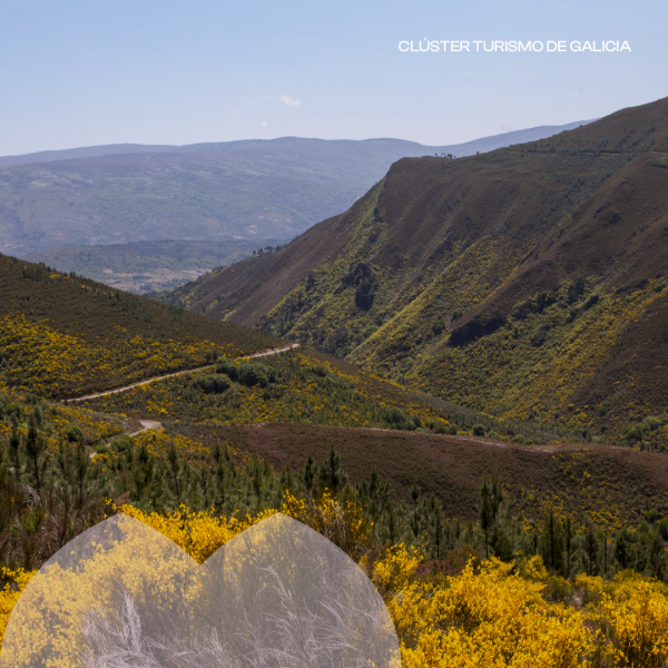 [:es]Últimos días para solicitar las ayudas del Igape a negocios afectados por los incendiosÚltimos días para solicitar as axudas do Igape a negocios afectados polos incendiosLast days to apply for Igape aid for businesses affected by the fires