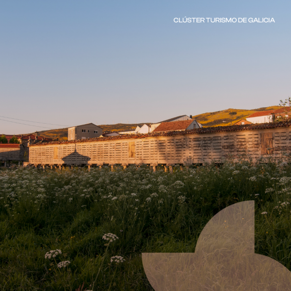 [:es]Los hoteles gallegos aumentan sus ingresos en agosto, que ascienden a 84,3 M€Os hoteis de Galicia aumentan os seus ingresos en agosto, chegando aos 84,3 millóns de eurosGalician hotels increase their revenue in August, reaching €84.3 million