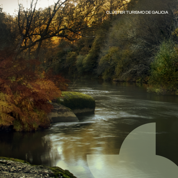 [:es]Los hoteles y pensiones gallegos ingresaron 408,1 M€ en lo que va de añoOs hoteis e pensións galegos ingresaron 408,1 M€ no que vai de anoGalician Hotels and Guesthouses Earned €408.1 Million So Far This Year