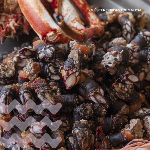 [:es]Santiago acogerá la primera edición de los Premios da Cociña GalegaSantiago acollerá a primeira edición dos Premios da Cociña GalegaSantiago to Host the First Edition of the Galician Cuisine Awards